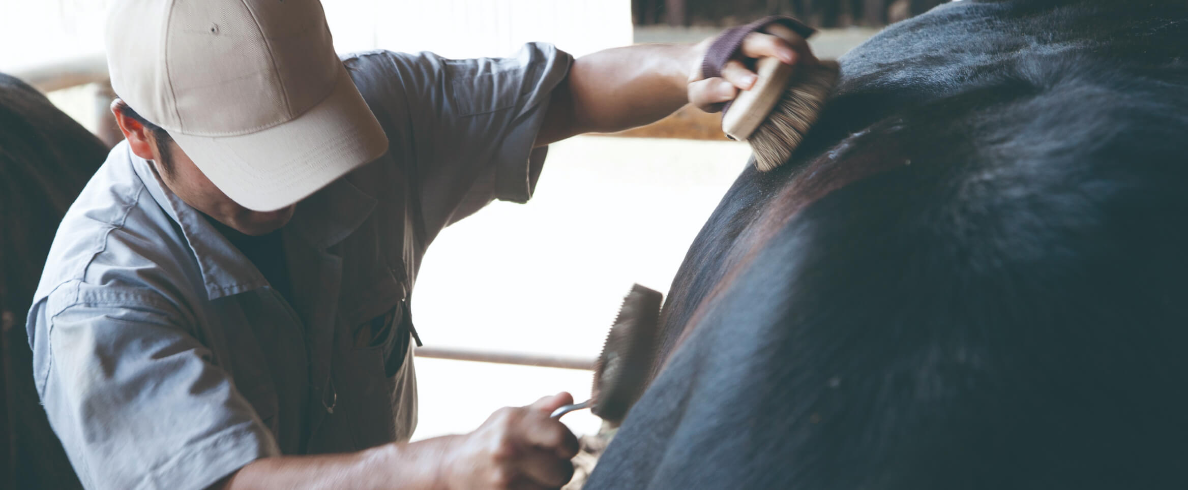 鮮味(Umami) 和牛