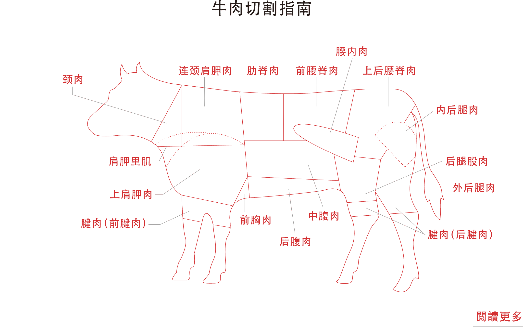 beef cutting guide