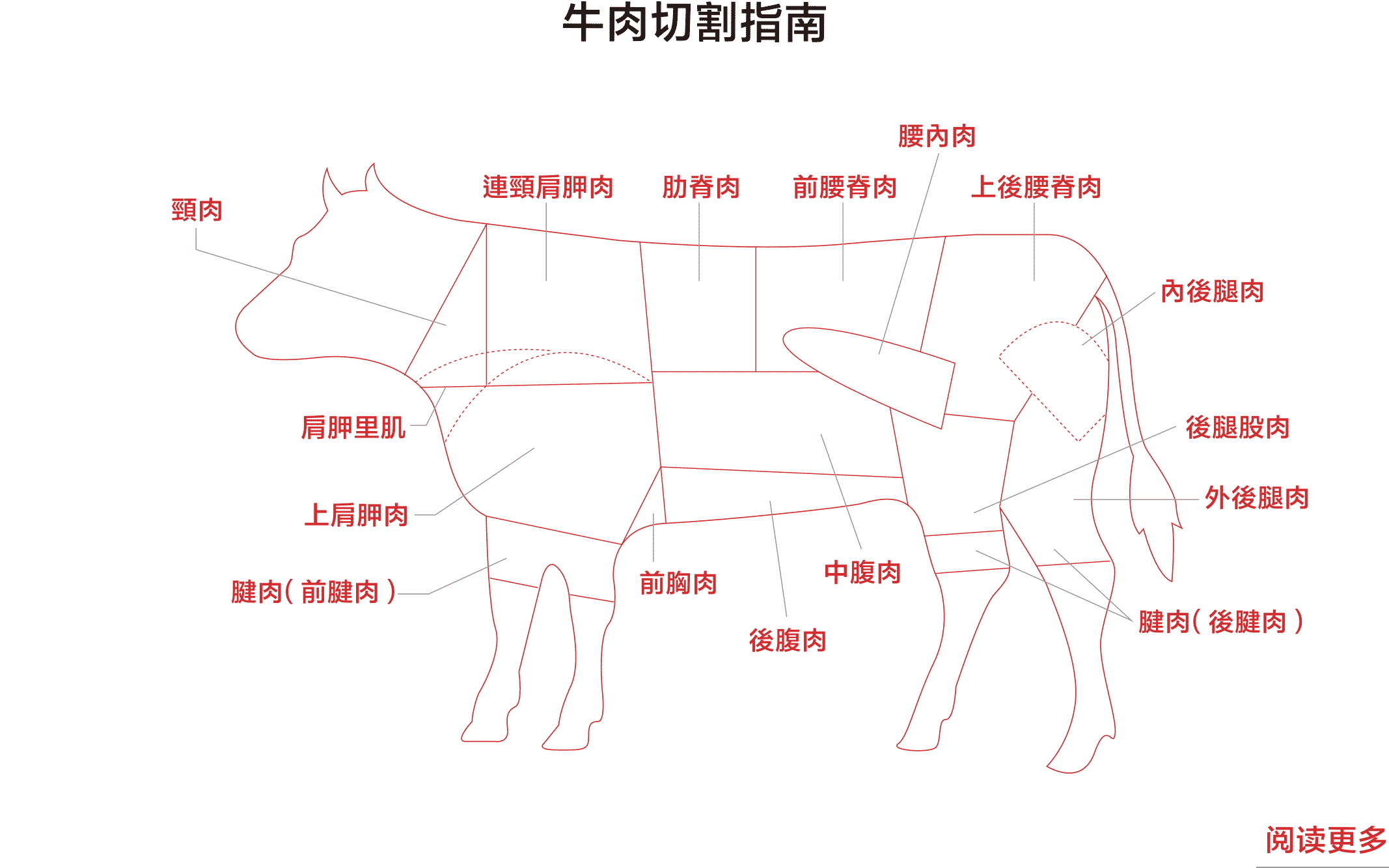 beef cutting guide
